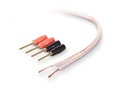 ؐQ(mo)ףϺ޹˾:AV23002zh1M PureAV 18